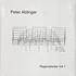 Peter Ablinger - Regenstücke Volume 1