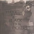 Steve Gunn & The Black Twig Pickers - Seasonal Hire