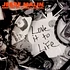 Jesse Malin And The St. Marks Social - Love It To Life