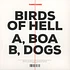 Birds Of Hell - Boa