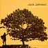 Jack Johnson - In Between Dreams