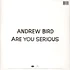 Andrew Bird - Are You Serious