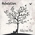 Rebelution - Falling Into Place