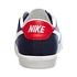 Nike SB - Air Zoom All Court CK