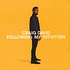 Craig David - Following My Intuition