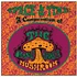 The Orange Alabaster Mushroom - Space & Time