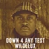 Wildelux - Down 4 Any Test