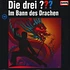 Die Drei ??? - 192 / Im Bann Des Drachen