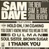 The New Sam & Dave - The New Sam & Dave Soul Review