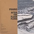 Prairie - After The Flash Flood