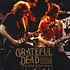 Grateful Dead - Visions Of The Future Volume 1