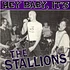 The Stallions - Hey Baby, It's The Stallions