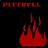 Pittbull - Pittbull