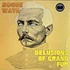 Rogue Wave - Delusions Of Grand Fur