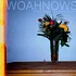 Woahnows - Understanding And Everything Else