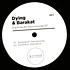 Dying & Barakat - Exploración Desconocida EP