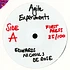 Agile Experiments - Edwards / Nicholls / De Rose