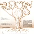Roots (Barney Rachabane) - Roots