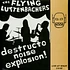 Flying Luttenbachers - Live At Wnur 2-6-92
