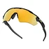 Oakley - Radar EV Path Polarized