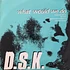 DSK - What Would We Do