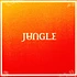 Jungle - Volcano Black Vinyl Edition