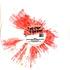 Wink - Higher State Of Consciousness Red / White Splatter Vinyl Edition