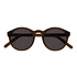 Barstow Sunglasses (Chocolate / Grey Solid Lens)
