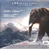 Lorne Balfe - OST Life On Our Planet Translucent Sea Blue Vinyl Edition