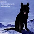 Advance Base - Animal Companionship Clear Vinyl Edition