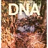 DNA - A Taste Of DNA