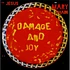 The Jesus And Mary Chain - Damage And Joy