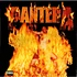 Pantera - Reinventing The Steel