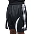 adidas - Adicolor Teamgeist Shorts