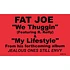 Fat Joe - We Thuggin'