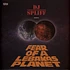 DJ Spliff presents - Fear Of A Lebakas Planet