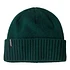 Brodeo Beanie (Cascade Green)