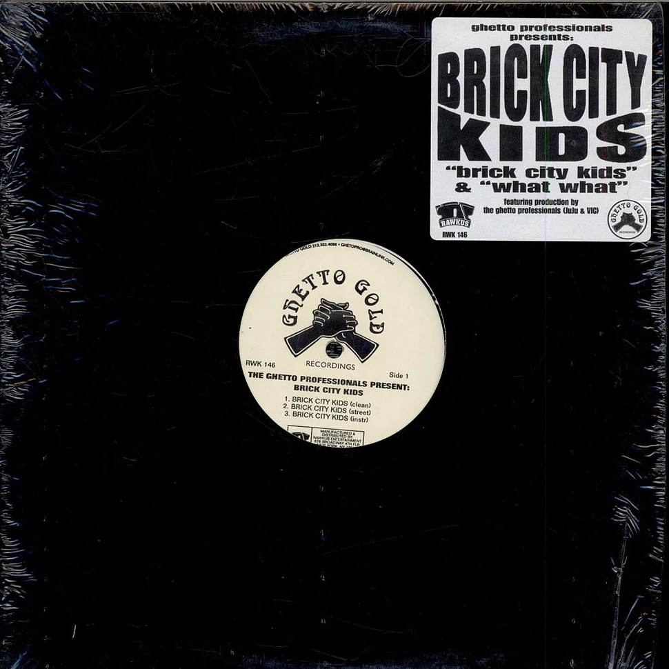 Artifacts - Brick city kids