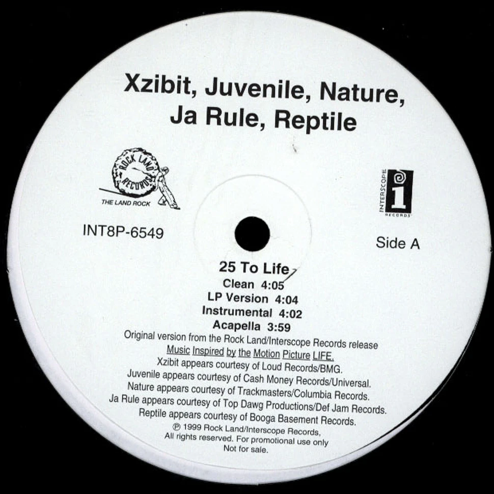 Xzibit, Juvenile, Nature, Ja Rule, Reptile - 25 To Life