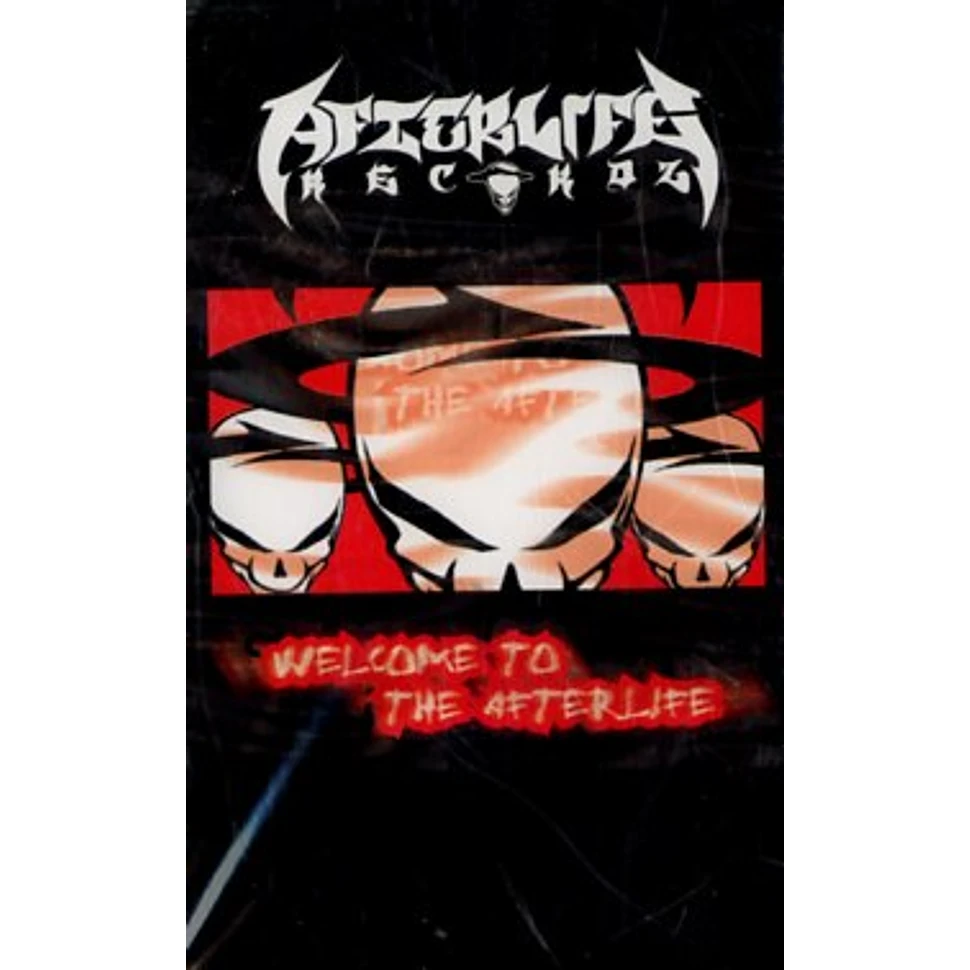 Afterlife - Welcome to the afterlife