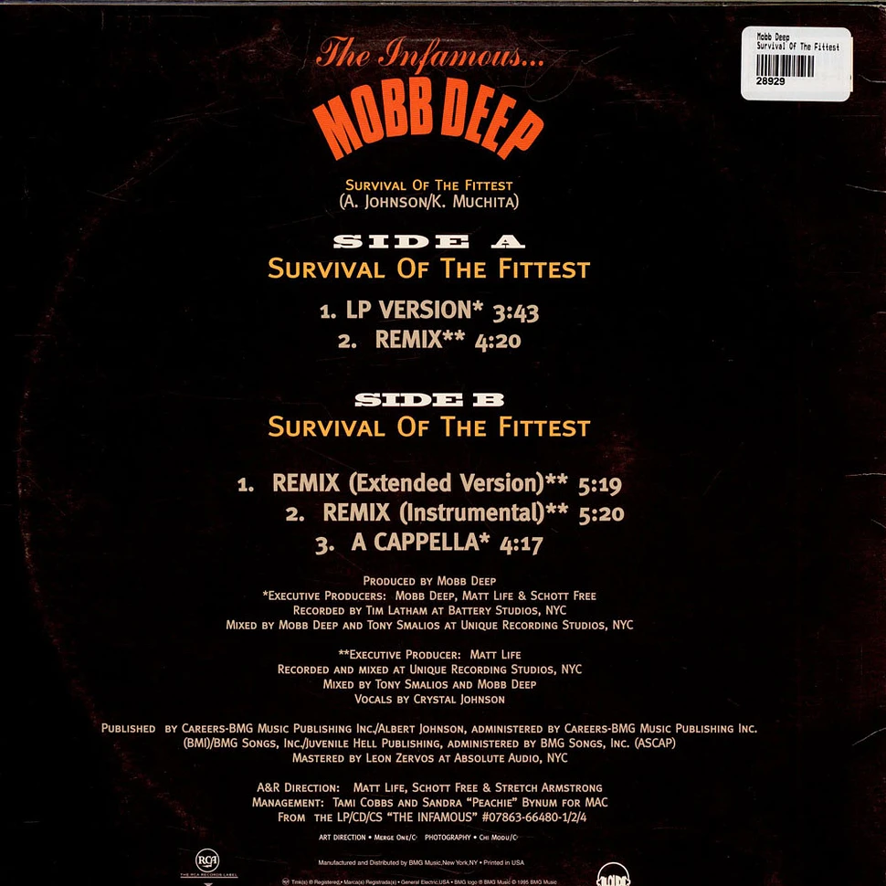 Mobb Deep - Survival Of The Fittest