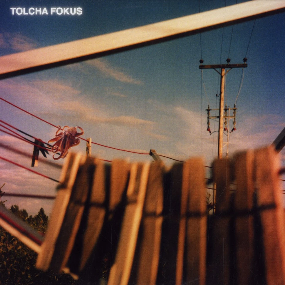 Tolcha - Fokus