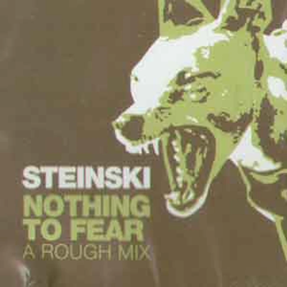 Steinski - Nothing to fear