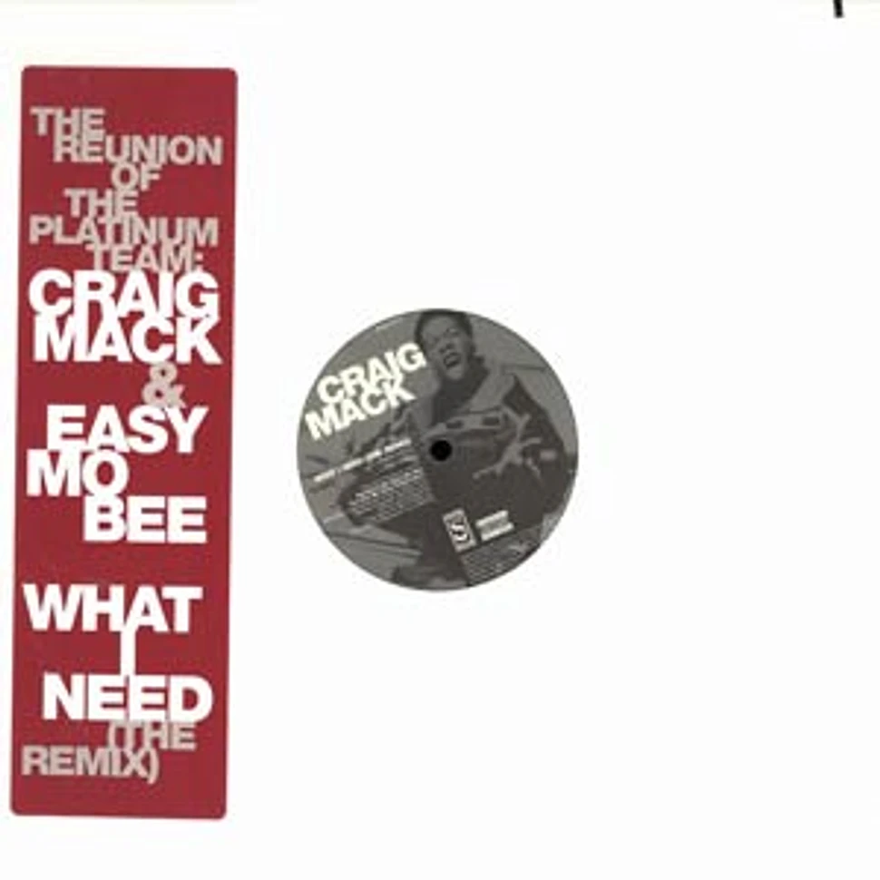 Craig Mack - What I Need (The Remix)