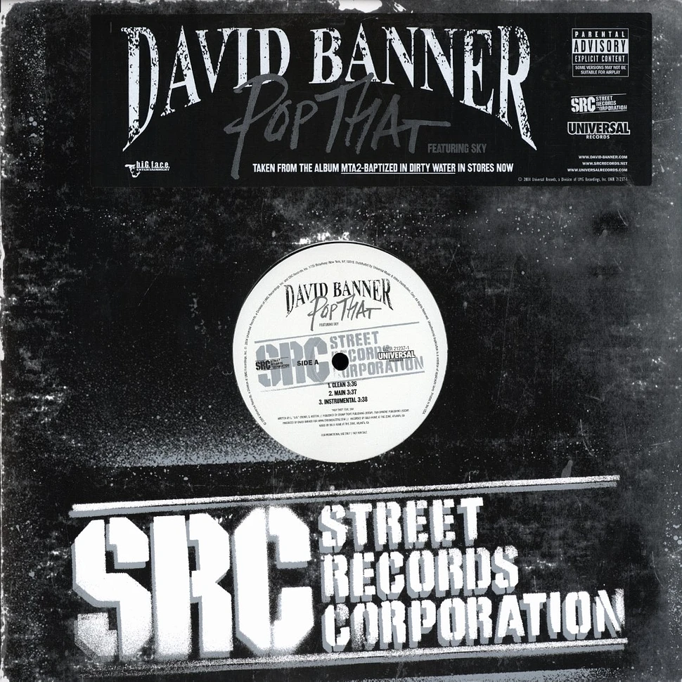 David Banner - Pop that feat. Sky