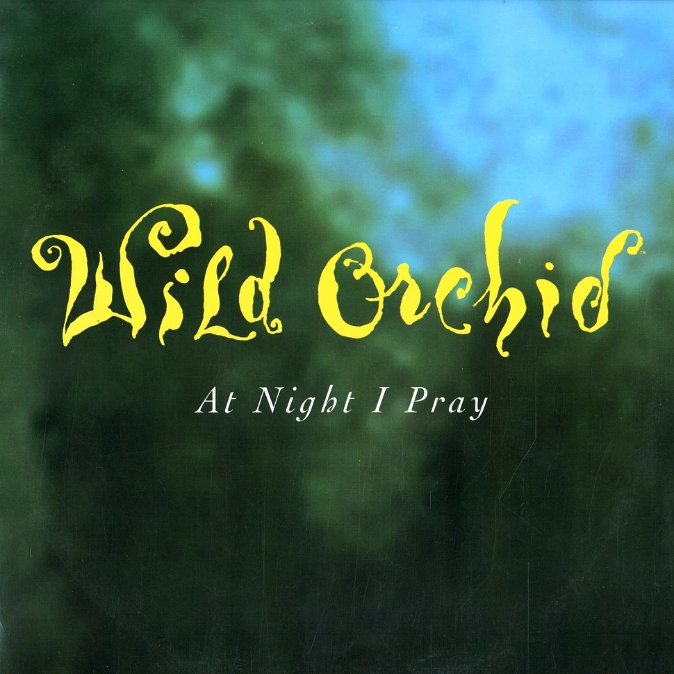 Wild Orchid - At night i pray
