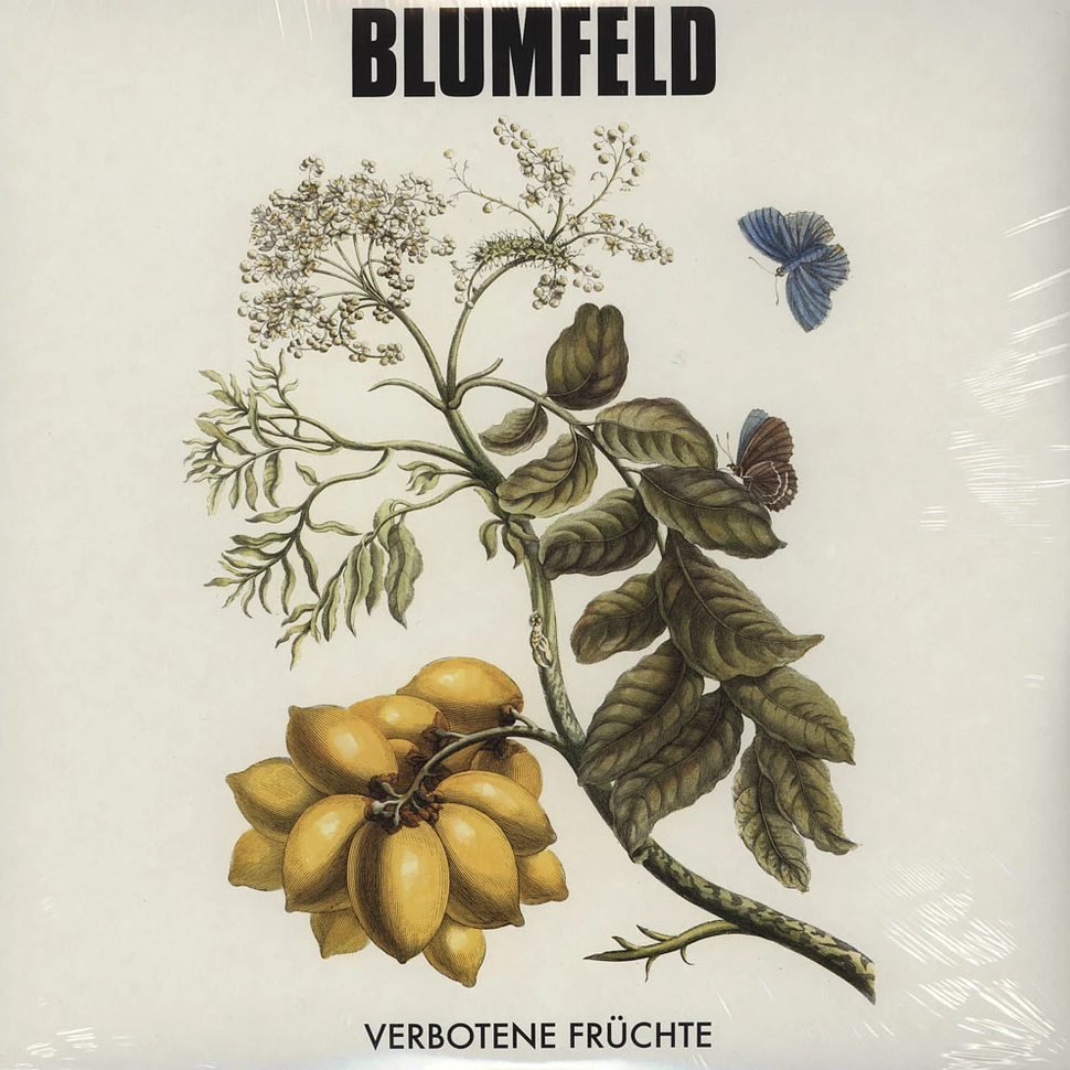 Blumfeld - Verbotene Früchte