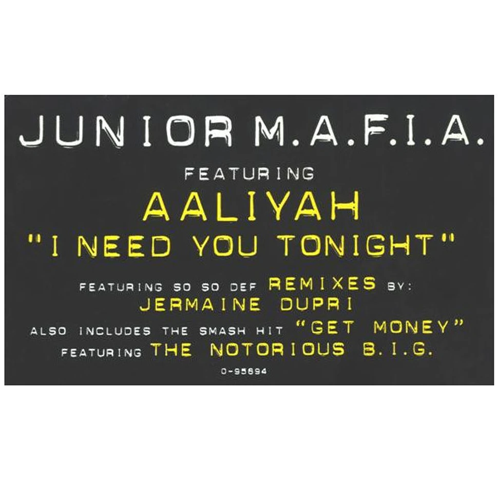 Junior M.A.F.I.A. Featuring Aaliyah - I Need You Tonight
