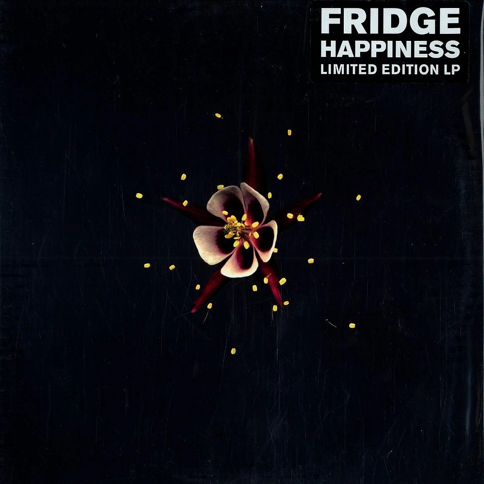 Fridge (Kieran Hebden, Adem Ilhan & Sam Jeffers) - Happiness