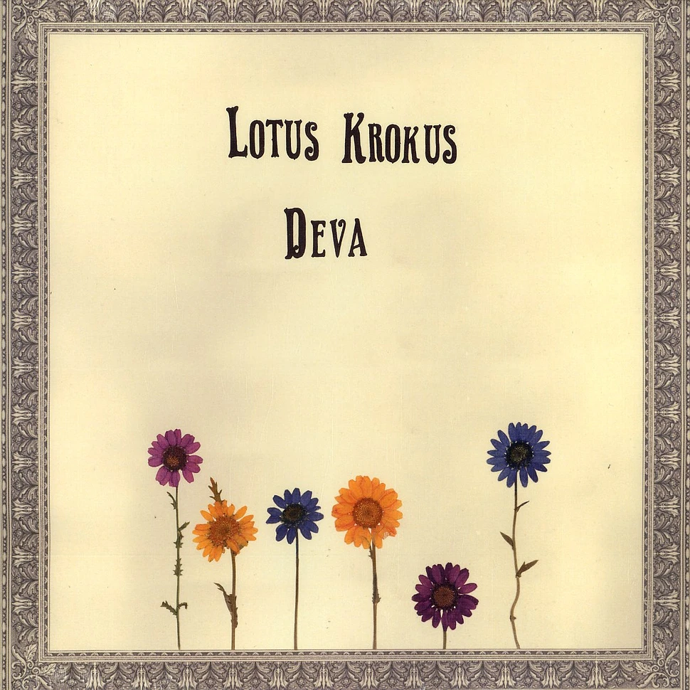 Lotus Krokus - Deva